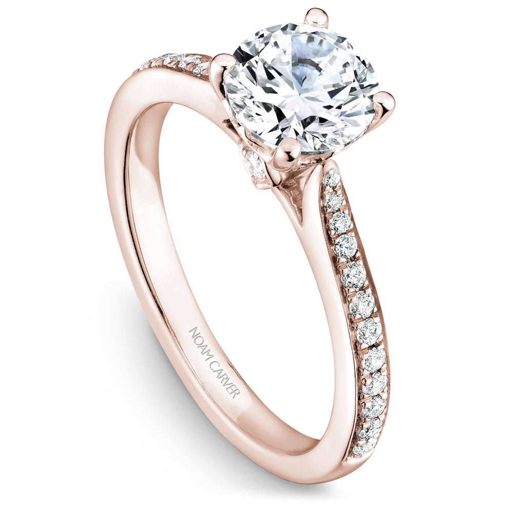 Noam Carver Diamond Engagement Ring with Diamond Detail Setting B141-01A