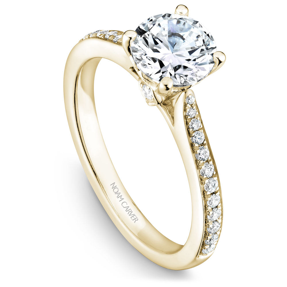 Noam Carver Diamond Engagement Ring with Diamond Detail Setting B141-01A
