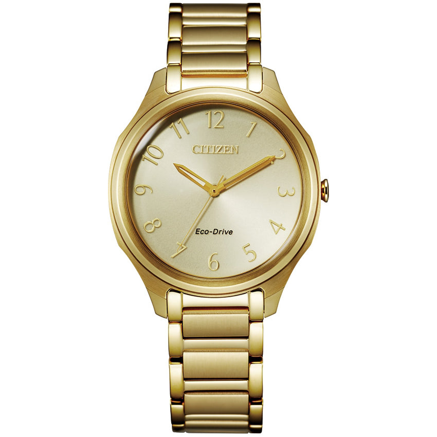 Citizen Drive Weekender EM0752-54P