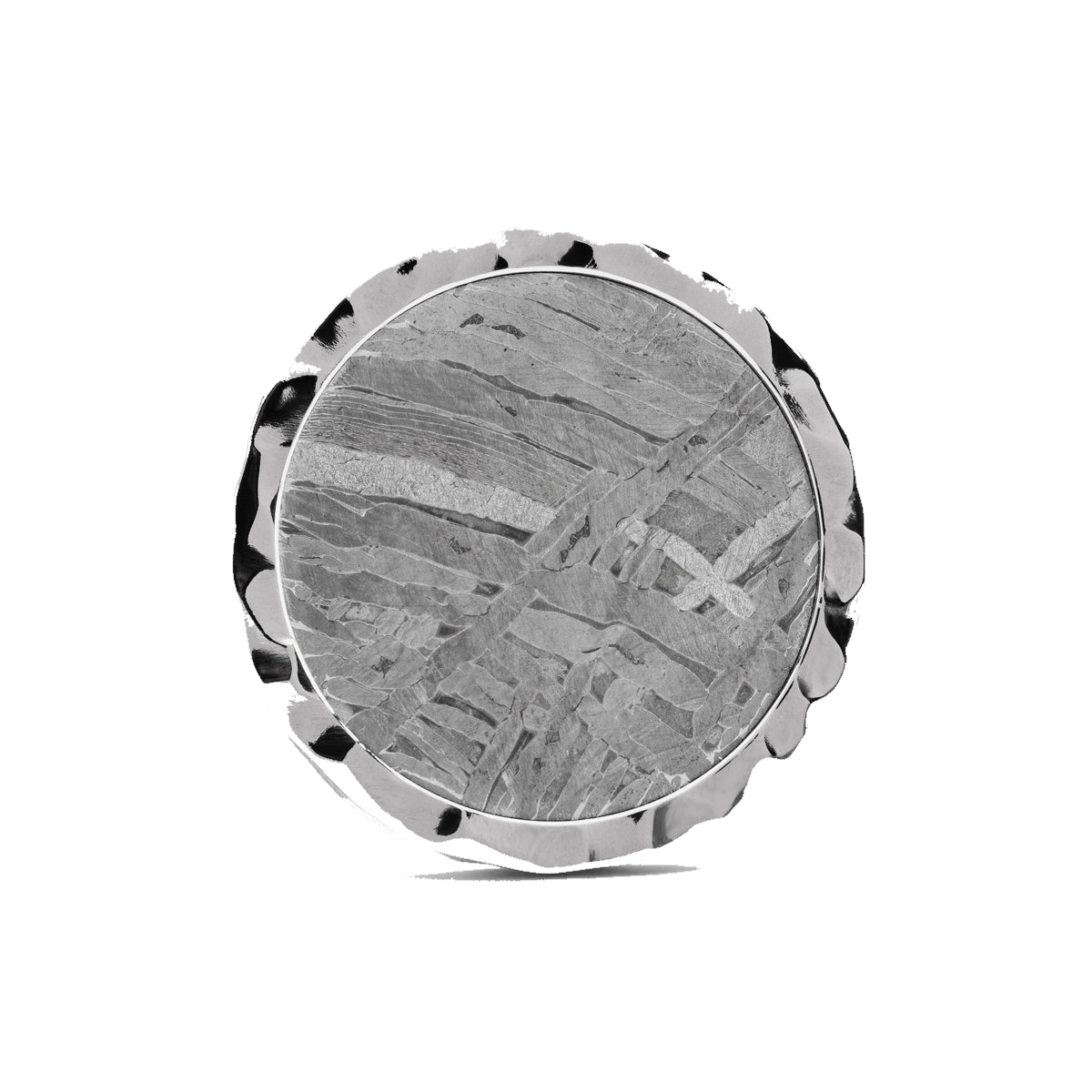 The Colossus - Titanium & Meteorite Doubloon Golf Ball Marker