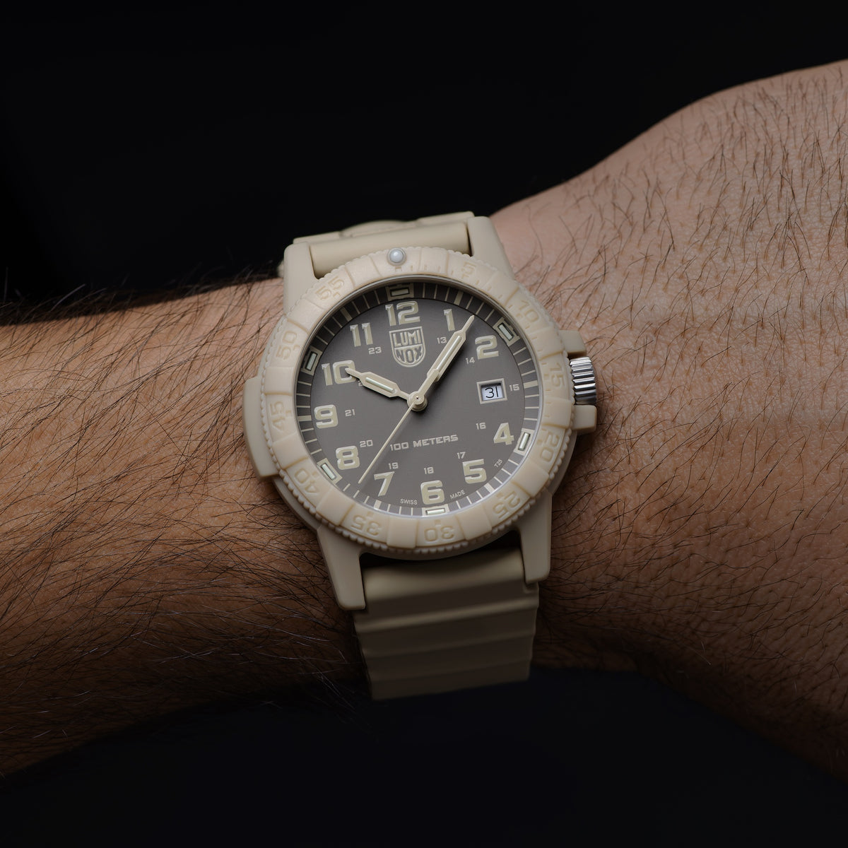 Luminox Leatherback Sea Turtle Giant Sand Turtle Series 0326