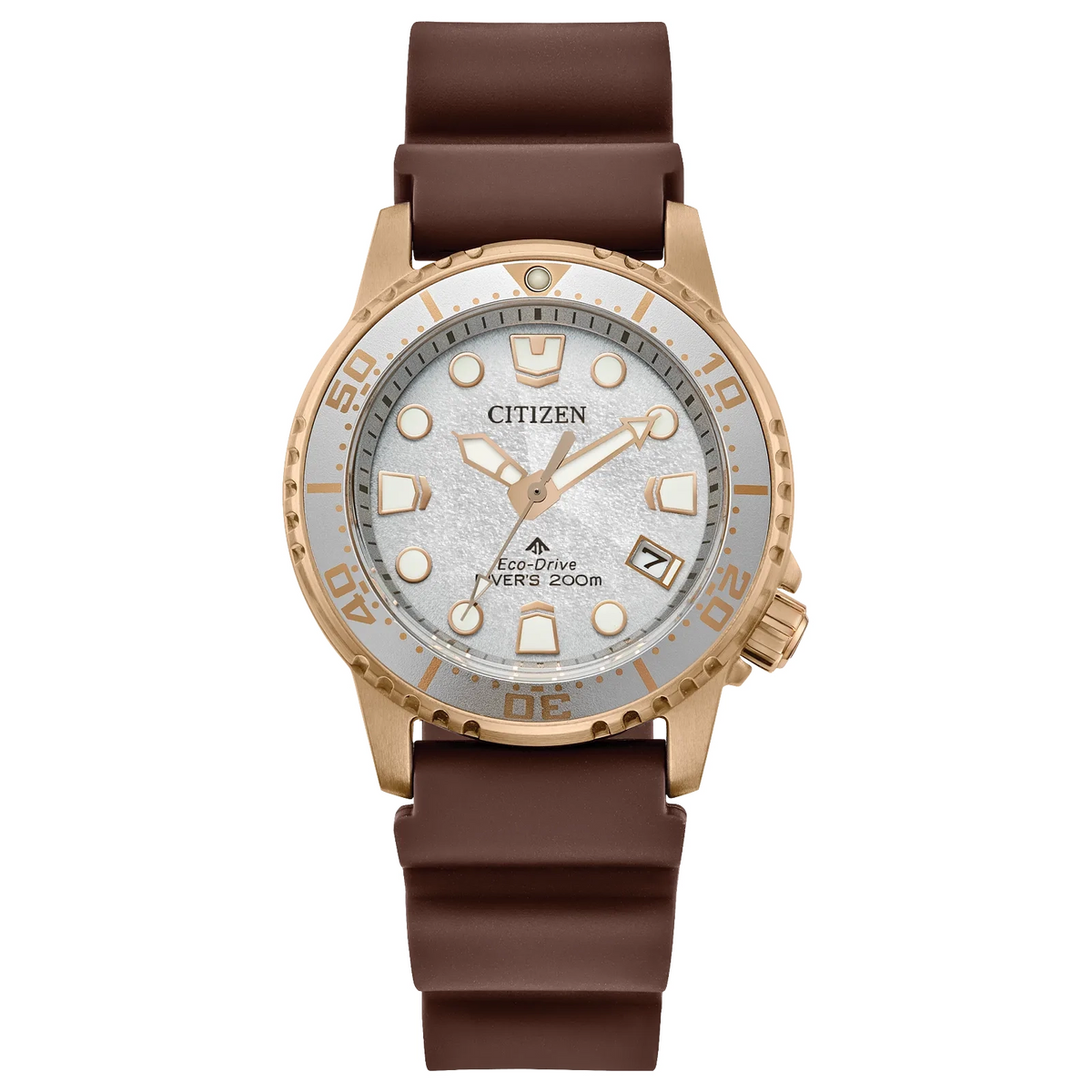 Citizen Eco-Drive Promaster Dive EO2022-02A