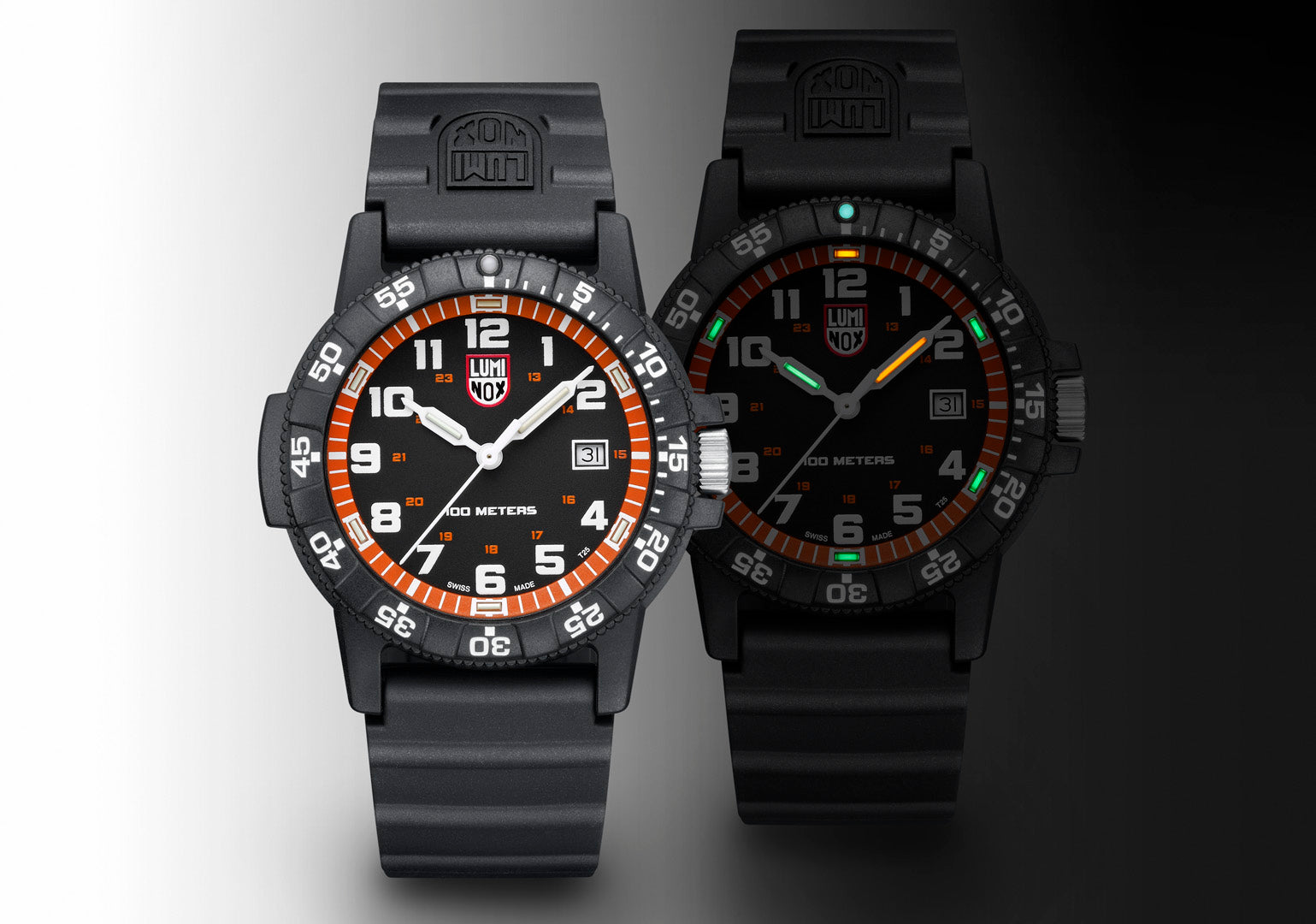 Luminox Leatherback Sea Turtle Giant Series 0329.1