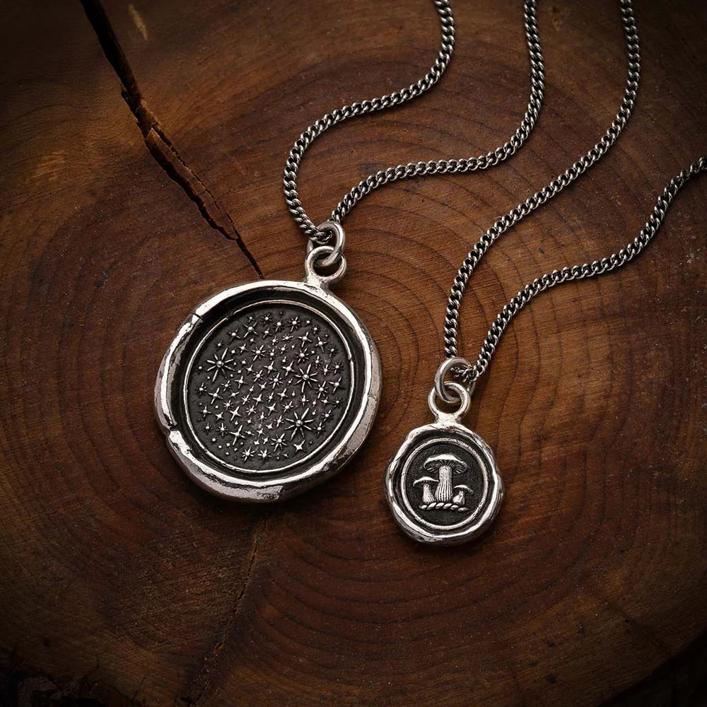 We Are Stardust Talisman Necklace