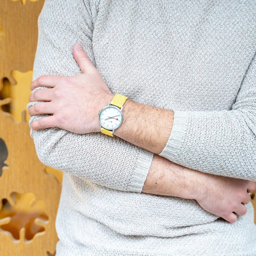 Mondaine Official Swiss Railways Classic A660.30360.17SBE