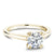 Noam Carver Solitaire with Diamond Detail Engagement Ring B002-02A