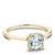 Noam Carver Solitaire Engagament Ring with Diamond Peek-A-Boo Halo B004-04A