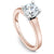 Noam Carver Solitaire Engagement Ring B006-03A