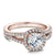 Noam Carver Split Shank Diamond Halo Engagement Ring B015-01A