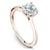 Noam Carver Classic Solitaire Engagement Ring B018-01A