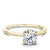 Noam Carver Classic Solitaire Engagement Ring B018-01A