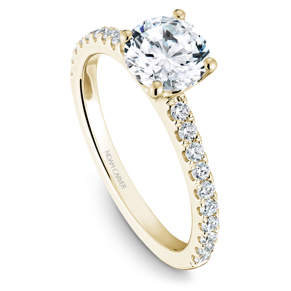 Noam Carver Diamond Engagement Ring B101-01A