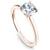 Noam Carver Classic Solitaire Engagement Ring B101-02A