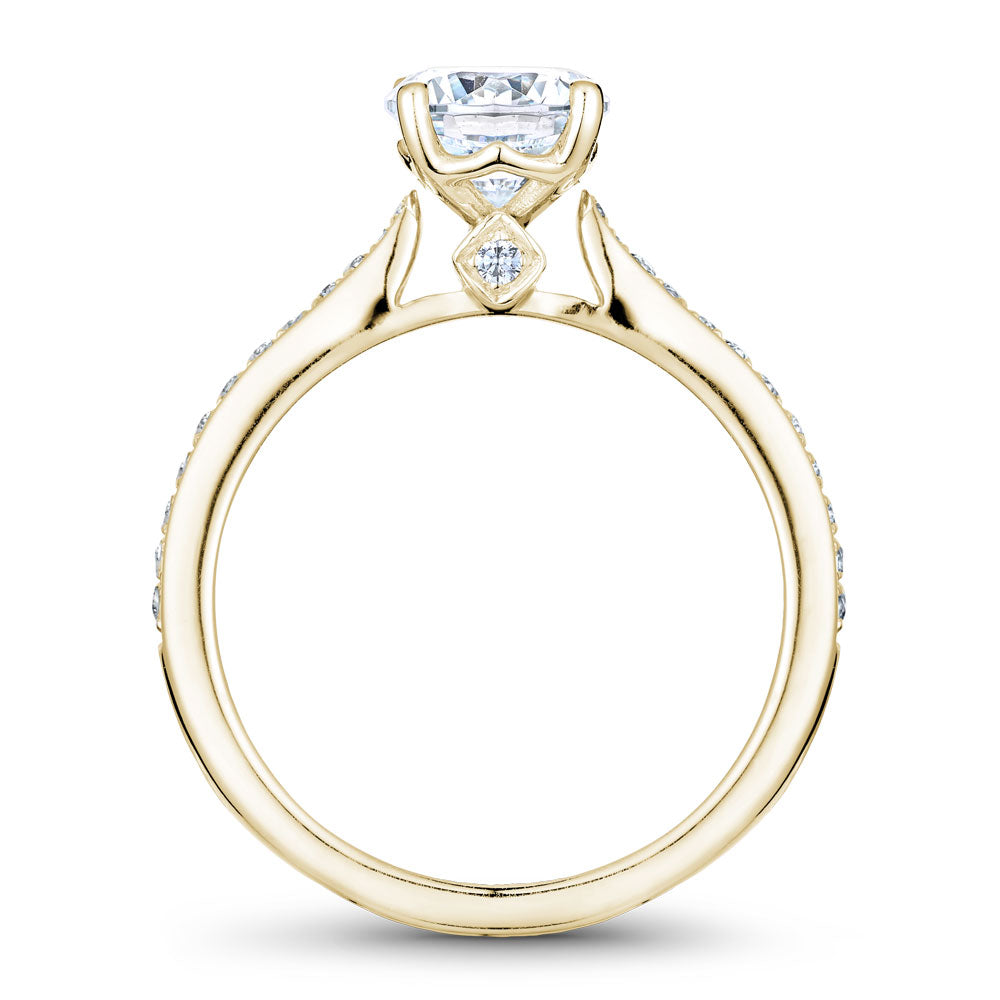 Noam Carver Diamond Engagement Ring with Diamond Detail Setting B141-01A