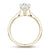Noam Carver Diamond Engagement Ring with Diamond Detail Setting B141-01A