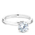 Noam Carver Classic Solitaire Engagement Ring with Diamond Detail Setting B143-17A