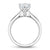 Noam Carver Classic Solitaire Engagement Ring with Diamond Detail Setting B143-17A