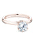 Noam Carver Classic Solitaire Engagement Ring with Diamond Detail Setting B143-17A