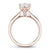Noam Carver Classic Solitaire Engagement Ring with Diamond Detail Setting B143-17A