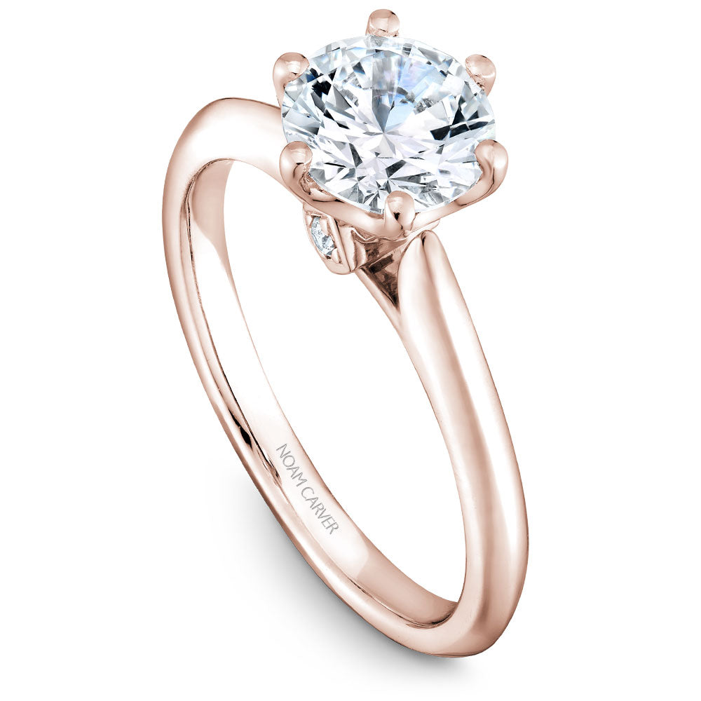 Noam Carver Classic Solitaire Engagement Ring with Diamond Detail Setting B143-17A