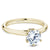 Noam Carver Classic Solitaire Engagement Ring with Diamond Detail Setting B143-17A