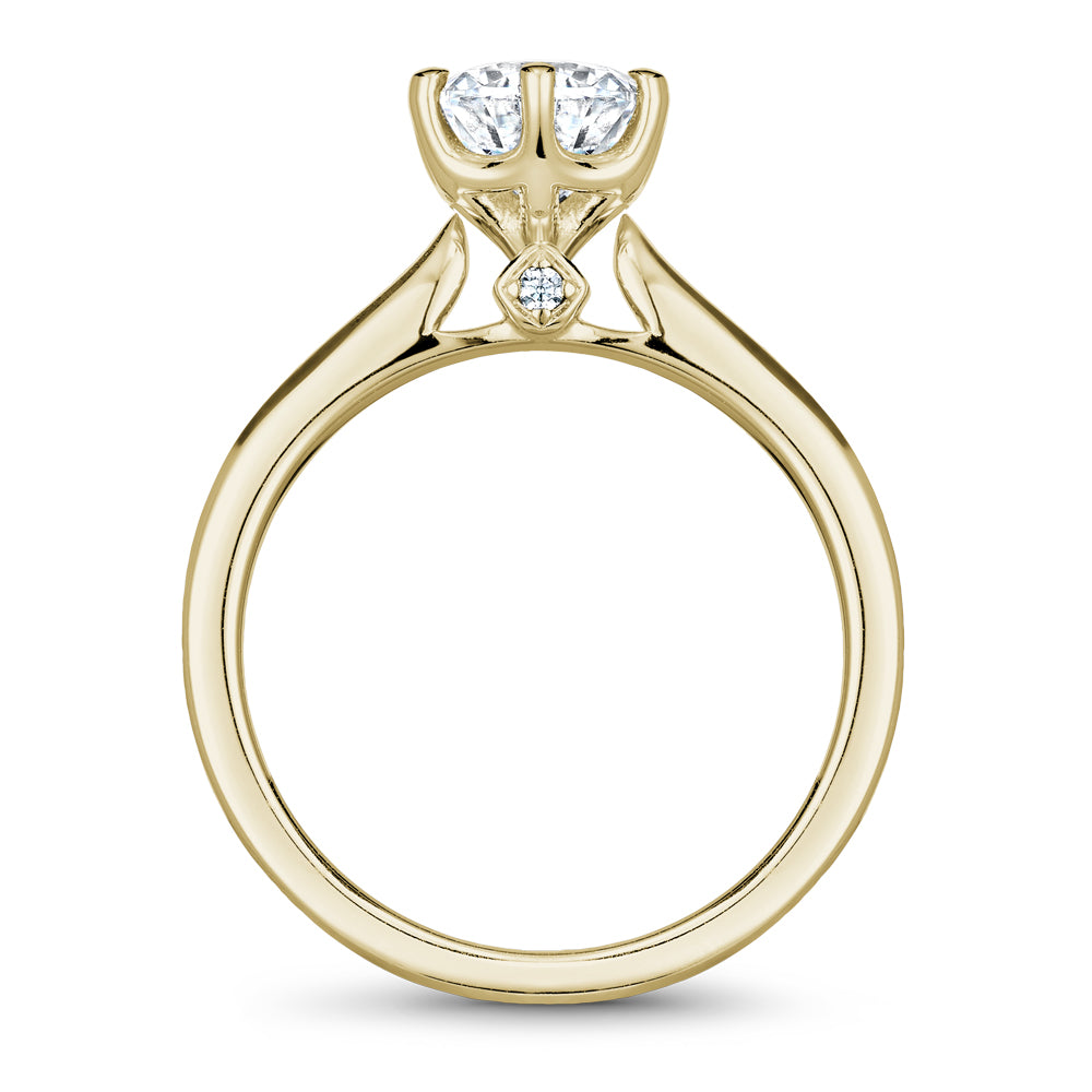 Noam Carver Classic Solitaire Engagement Ring with Diamond Detail Setting B143-17A