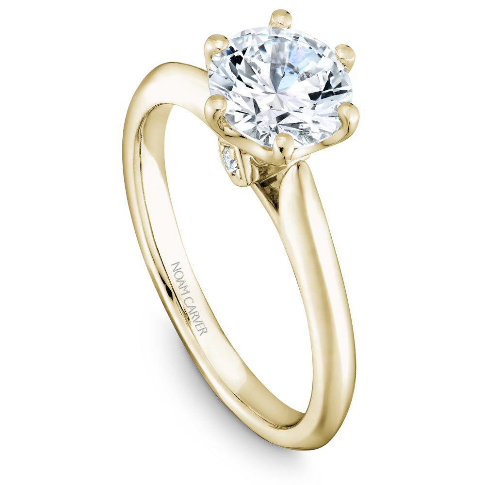 Noam Carver Classic Solitaire Engagement Ring with Diamond Detail Setting B143-17A