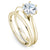 Noam Carver Classic Solitaire Engagement Ring with Diamond Detail Setting B143-17A