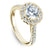 Noam Carver Diamond Engagement Ring with Floral Diamond Halo B150-01A