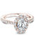 Noam Carver Oval Diamond Halo Engagement Ring B189-01A