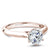 Noam Carver Classic Solitaire Engagement Ring with Diamond Detail Setting B200-01A