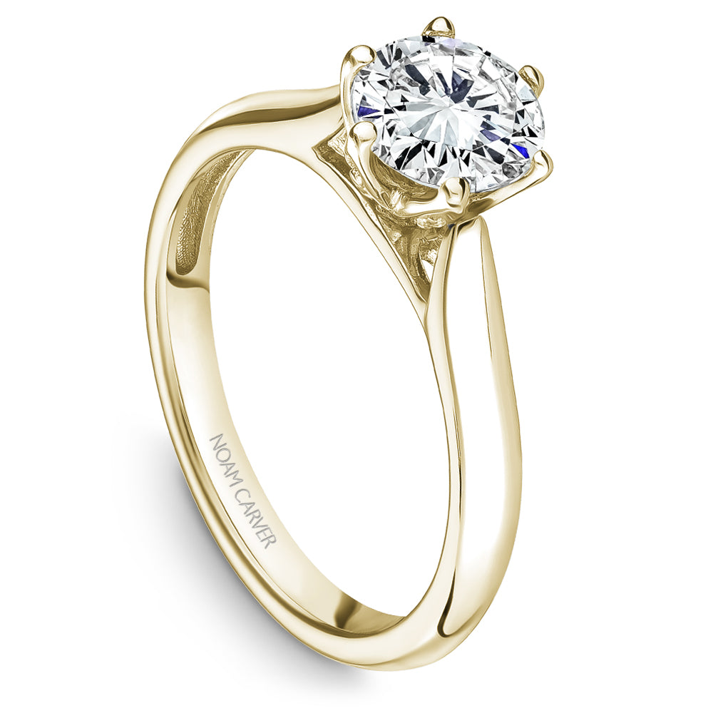 Noam Carver Classic Solitaire Engagement Ring with Diamond Detail Setting B200-01A