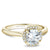 Noam Carver Petite Diamond Halo Solitaire Engagement Ring B260-01A