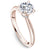 Noam Carver Solitaire Engagement Ring with Diamond Collar Detail B342-01A