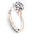 Noam Carver Classic Solitaire Engagement Ring B353-01A