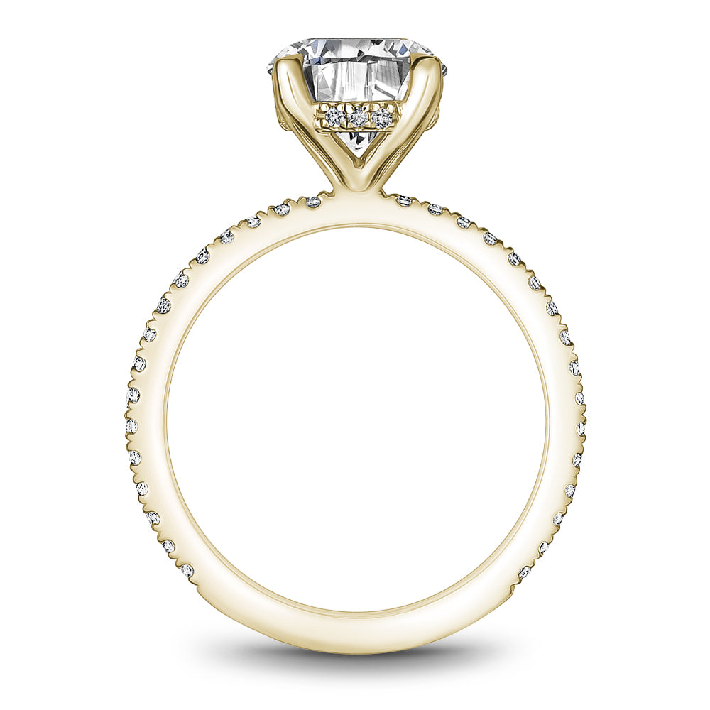 Noam Carver Diamond Engagement Ring with Diamond Detail Setting B372-01A