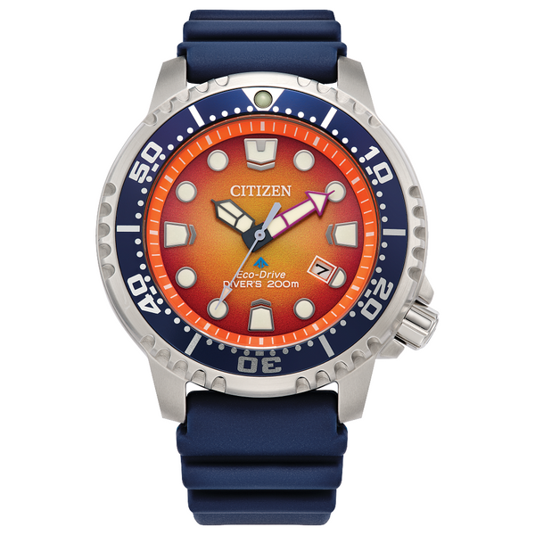 PromasterDive-5_600x.png?v=