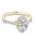 Noam Carver Diamond Halo Engagement Ring R050-02A