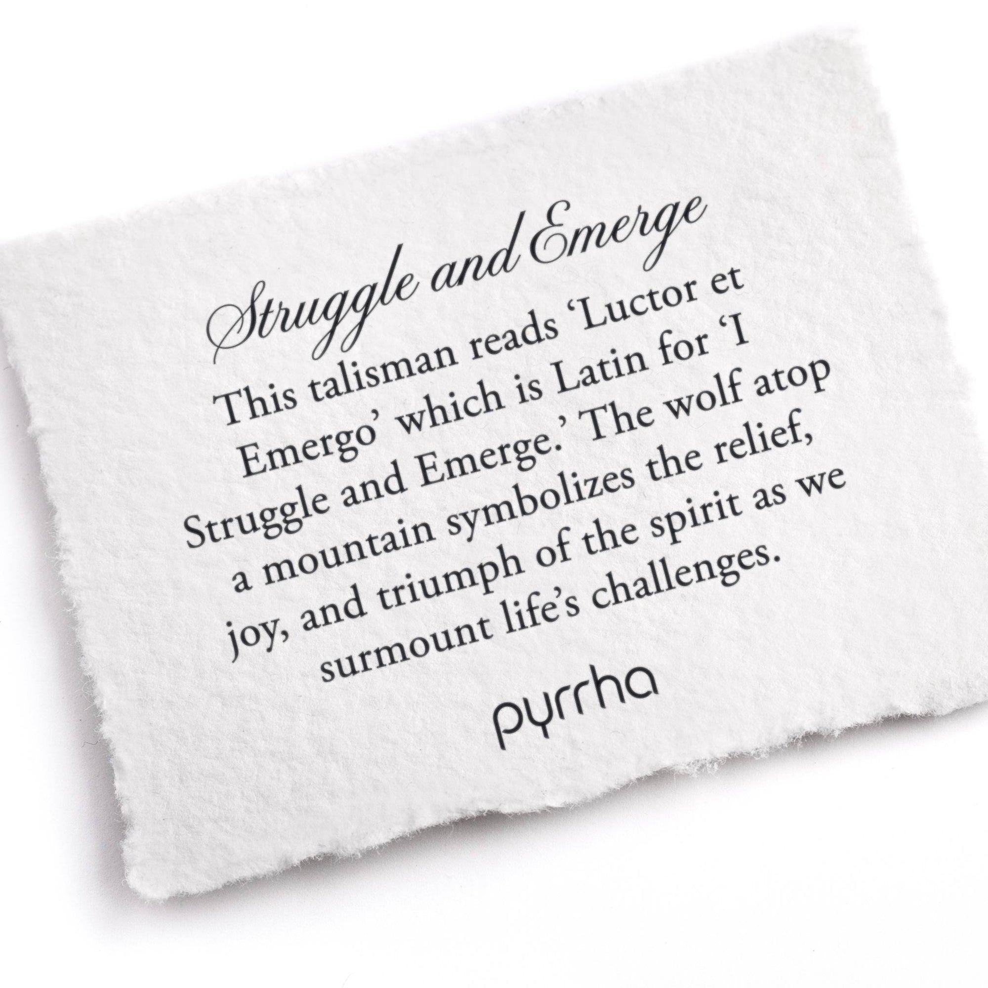 Struggle & Emerge Talisman Necklace